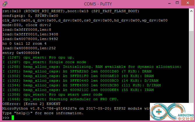 Figure 2 – ESP32 MicroPython prompt..png