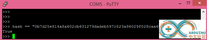 Figure 4 – Matching comparison between the hash created on MicroPython and on t.png